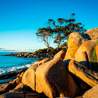 Binalong Bay Golden Hour