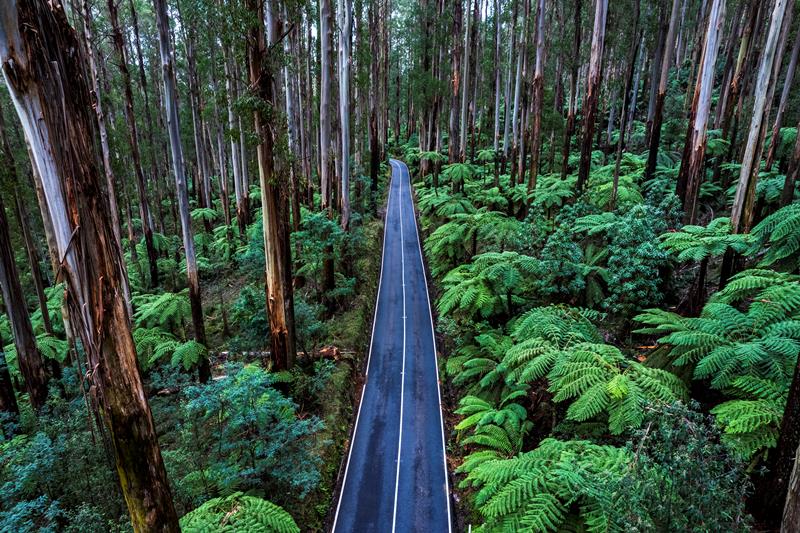 Black Spur