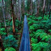 Black Spur