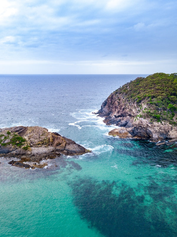 Blissful Seals Rocks 2020