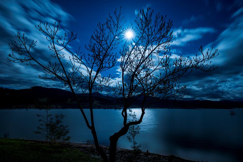 Blue Moon