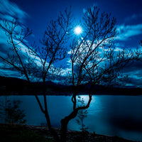 Blue Moon