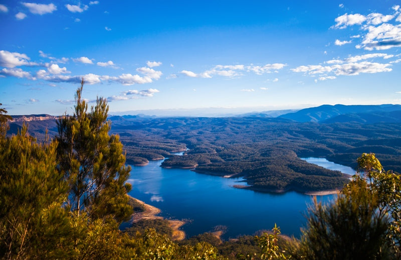 Blue in the Mountains