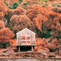 Boat Shed