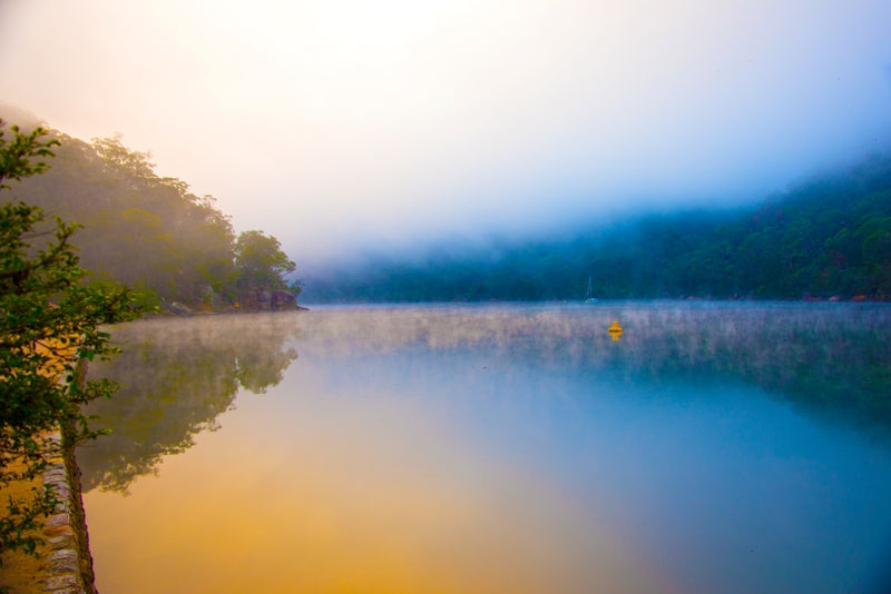 Bobbin Head Misty Morning