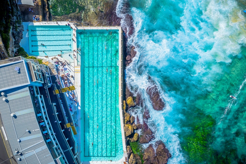 Bondi Ice Bergs Print