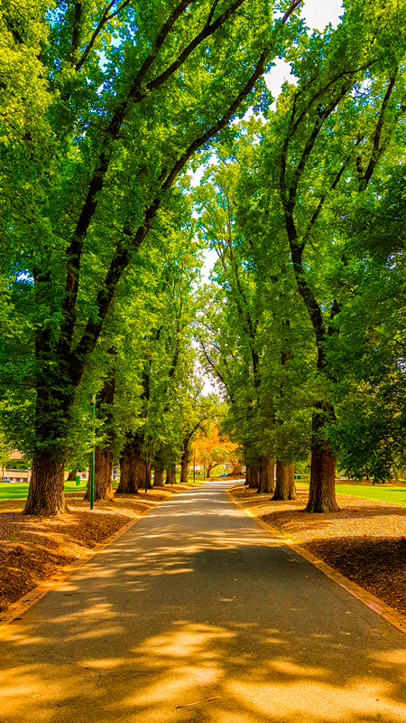 Botanic Gardens, Melbourne
