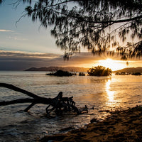 Bushland Beach Sunrise