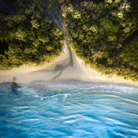 Cape Tribulation 3