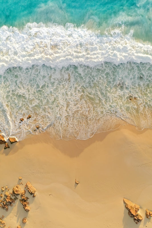 Cape naturalist - Dunsborough