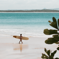 Classic Noosa