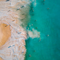 Coogee Shoreline