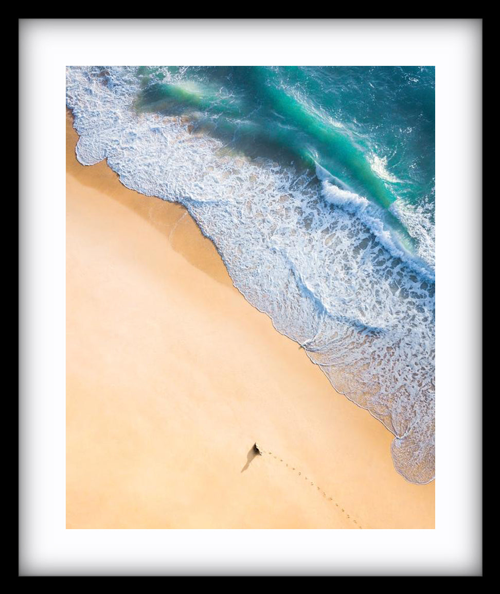 Dog Beach