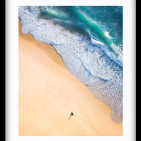 Dog Beach