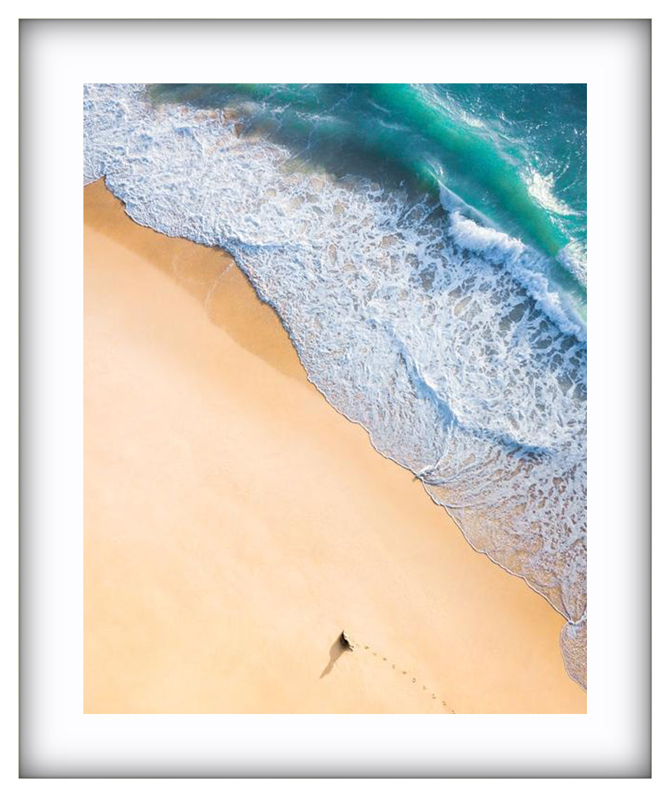 Dog Beach