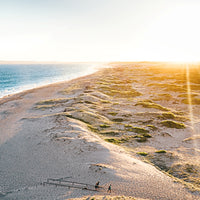 Doggo Dunes
