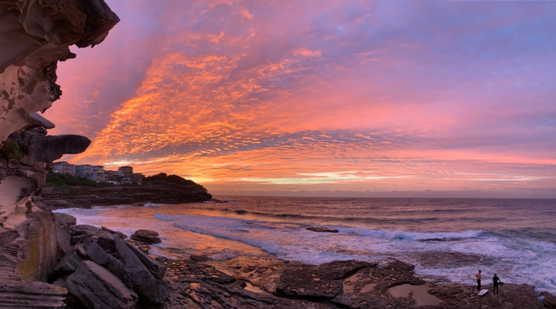 Dronesharkapp sunrises