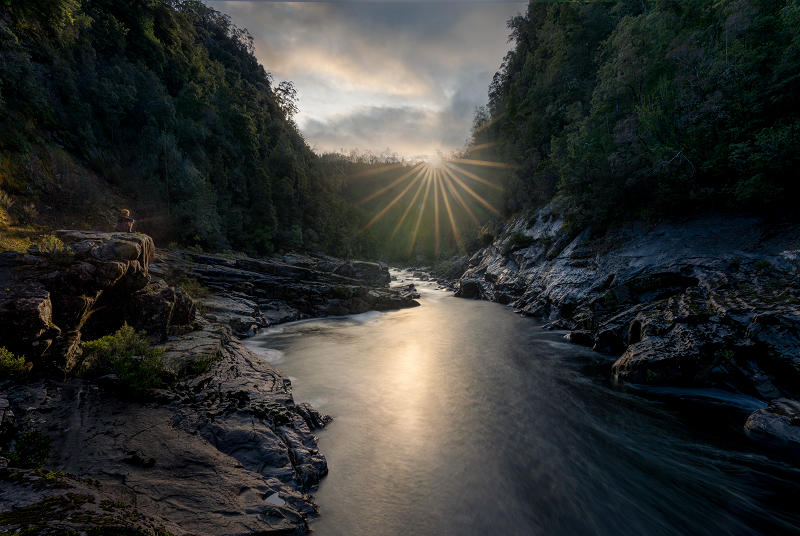Franklin River contemplation