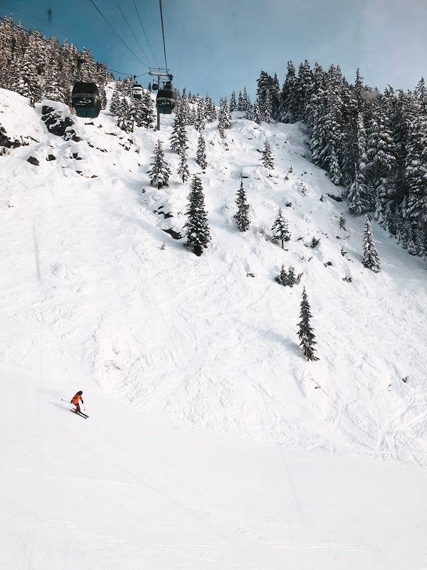 Fresh Powder - Whistler Blackcomb