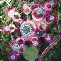 Gardens By The Bay