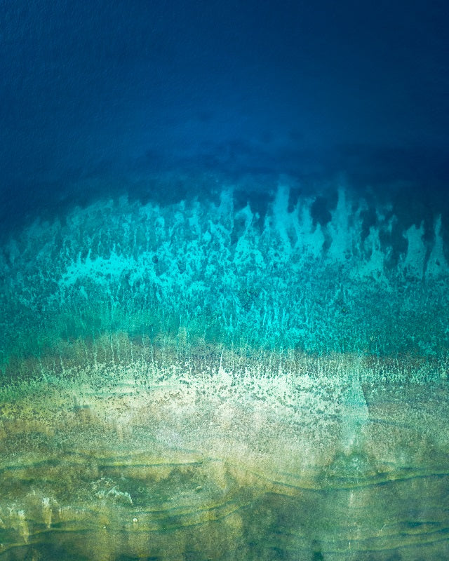 Gili Air corals in Indonesia