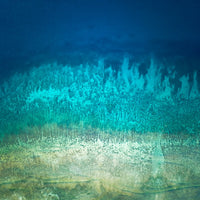 Gili Air corals in Indonesia