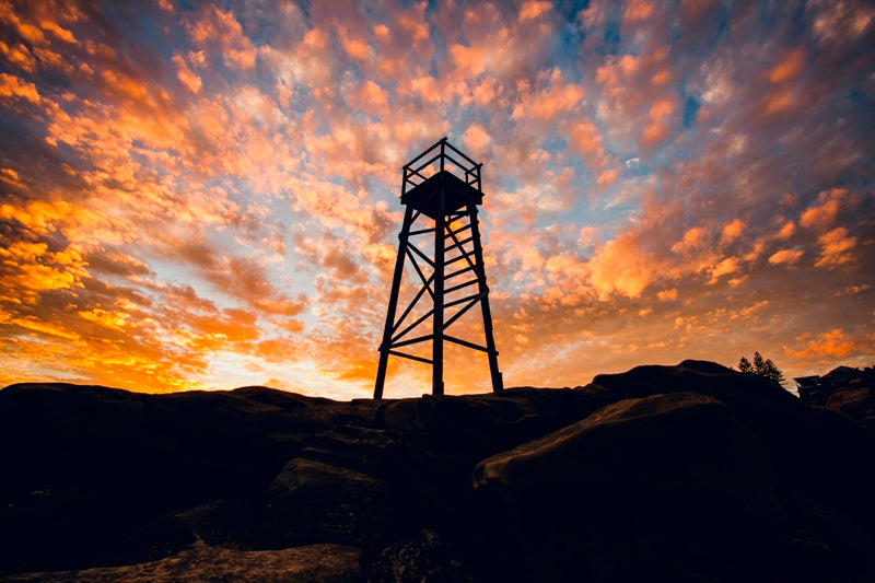 Golden Light - Redhead Beach
