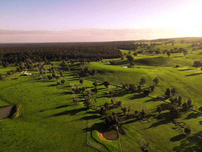 Green Pasture – Nannup, Western Australia