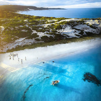 Hamelin Bay Stingrays