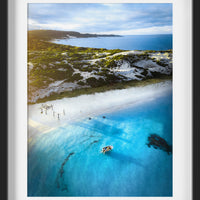 Hamelin Bay Stingrays