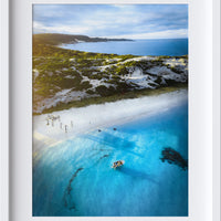 Hamelin Bay Stingrays