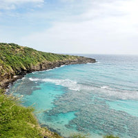 Hanauma Bay I
