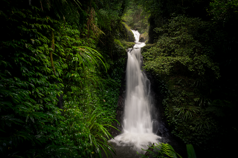 Hinterland rain forest Waterfall