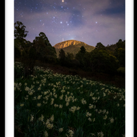 Hobart's Backyard