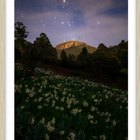 Hobart's Backyard