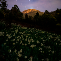 Hobart's Backyard