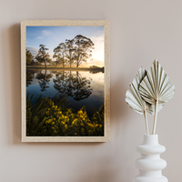 HUON GLOW
