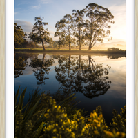 HUON GLOW