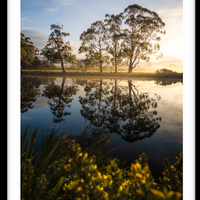 HUON GLOW