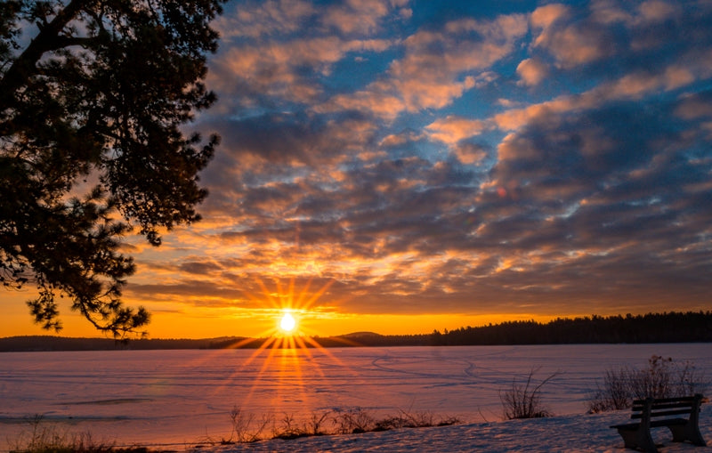Icy Sunrise