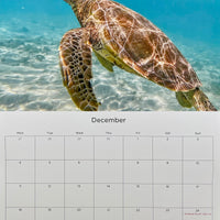 2023 Calendar - Kate OConnor