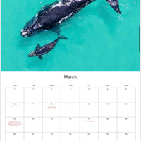 2023 Calendar - Kate OConnor