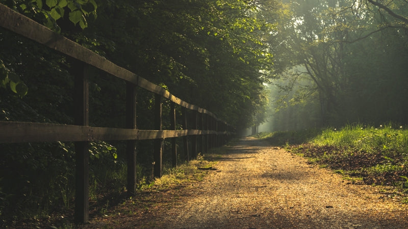 Into the unknown