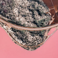 Island on Pink Water