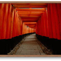The Red Gates of Japan