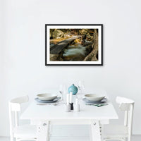 Jourama Falls Walkway