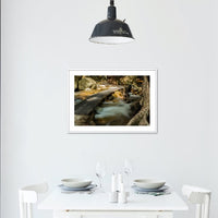 Jourama Falls Walkway