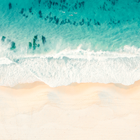 Just Keep Swimming (Horizontal)
