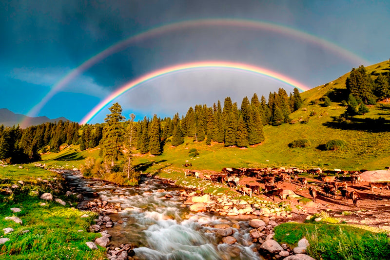 Jyrgalan Double Rainbow