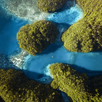 Lagoon Haven